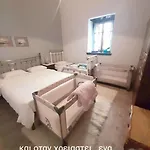 Villa πέτρινο αρχοντικό *